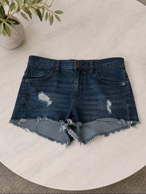 Express Dark Blue Distressed Denim Jean Shorts-8